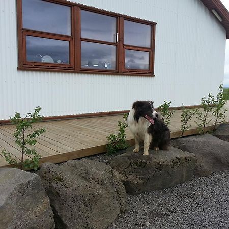 Skalinn Between Gullfoss And Geysir - Myrkholt FarmHaukadalur エクステリア 写真