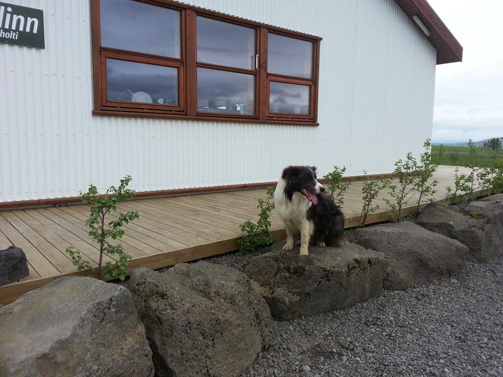 Skalinn Between Gullfoss And Geysir - Myrkholt FarmHaukadalur エクステリア 写真