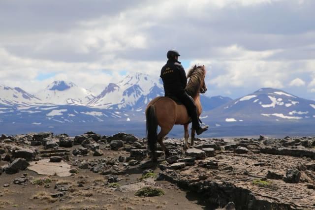 Skalinn Between Gullfoss And Geysir - Myrkholt FarmHaukadalur エクステリア 写真