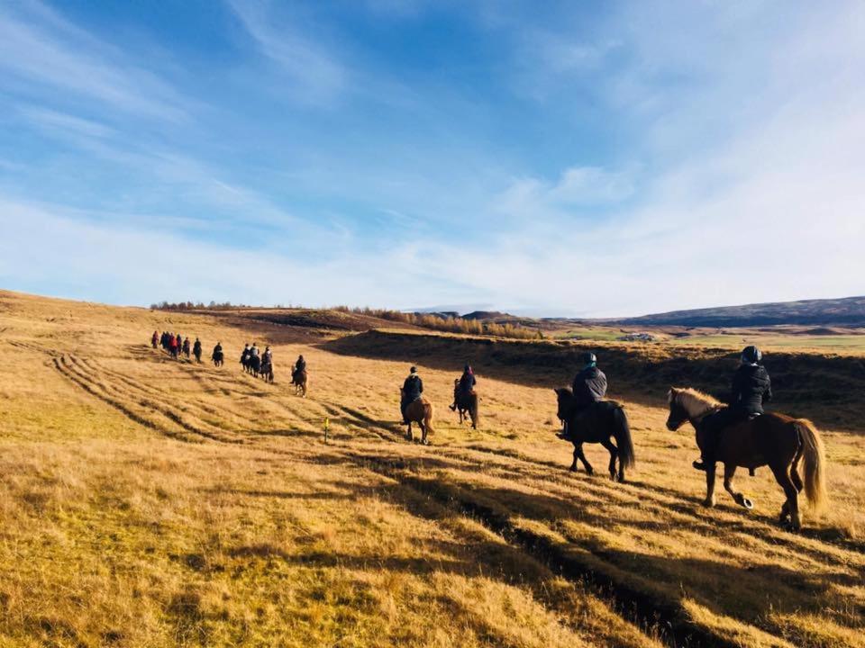 Skalinn Between Gullfoss And Geysir - Myrkholt FarmHaukadalur エクステリア 写真